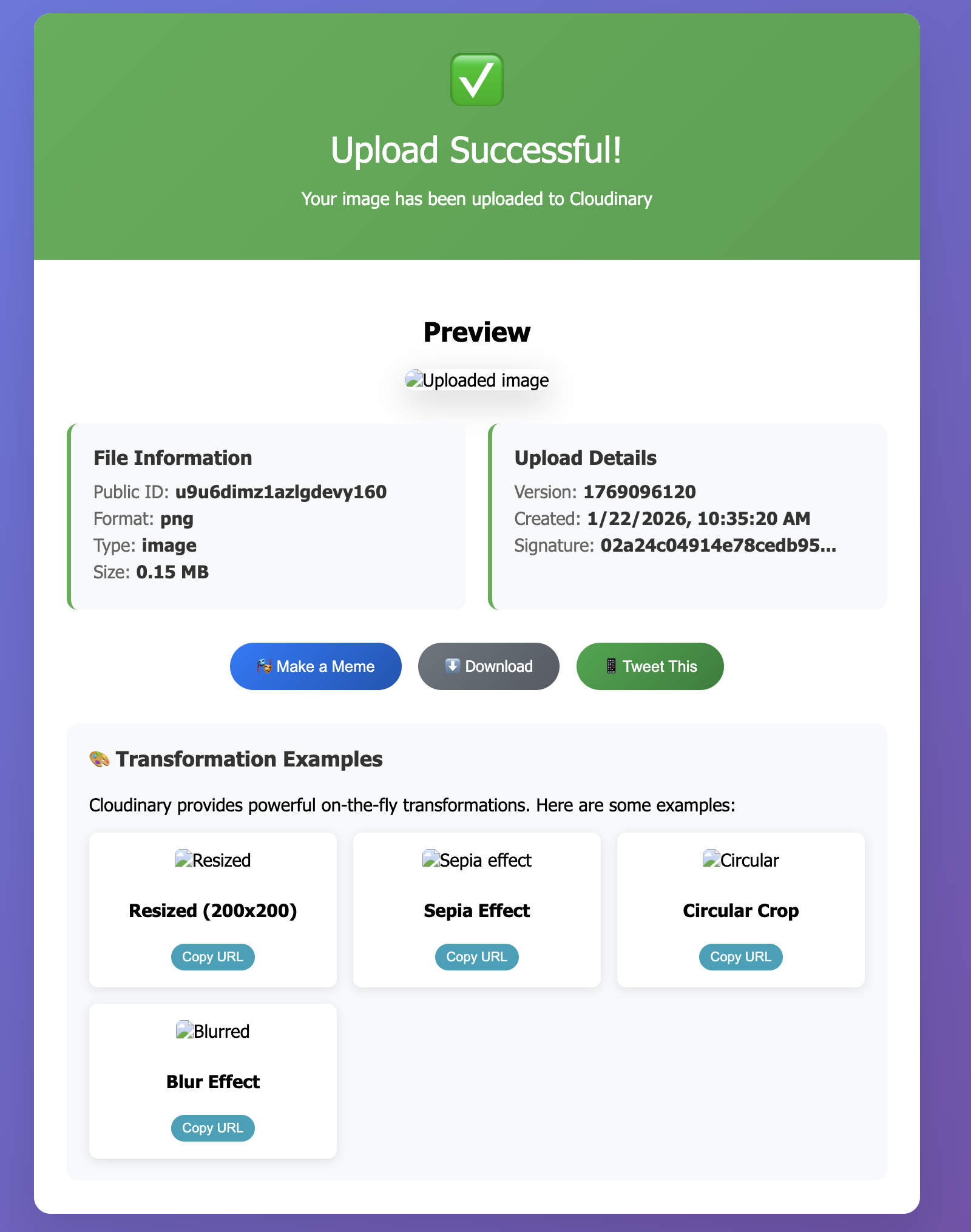 mcp app 的 csp 问题